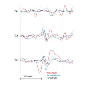 Yazılım Paketleri Yazılım Paketleri